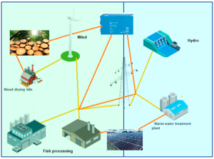 Aquaculture case study with the complex source-demand interconnections